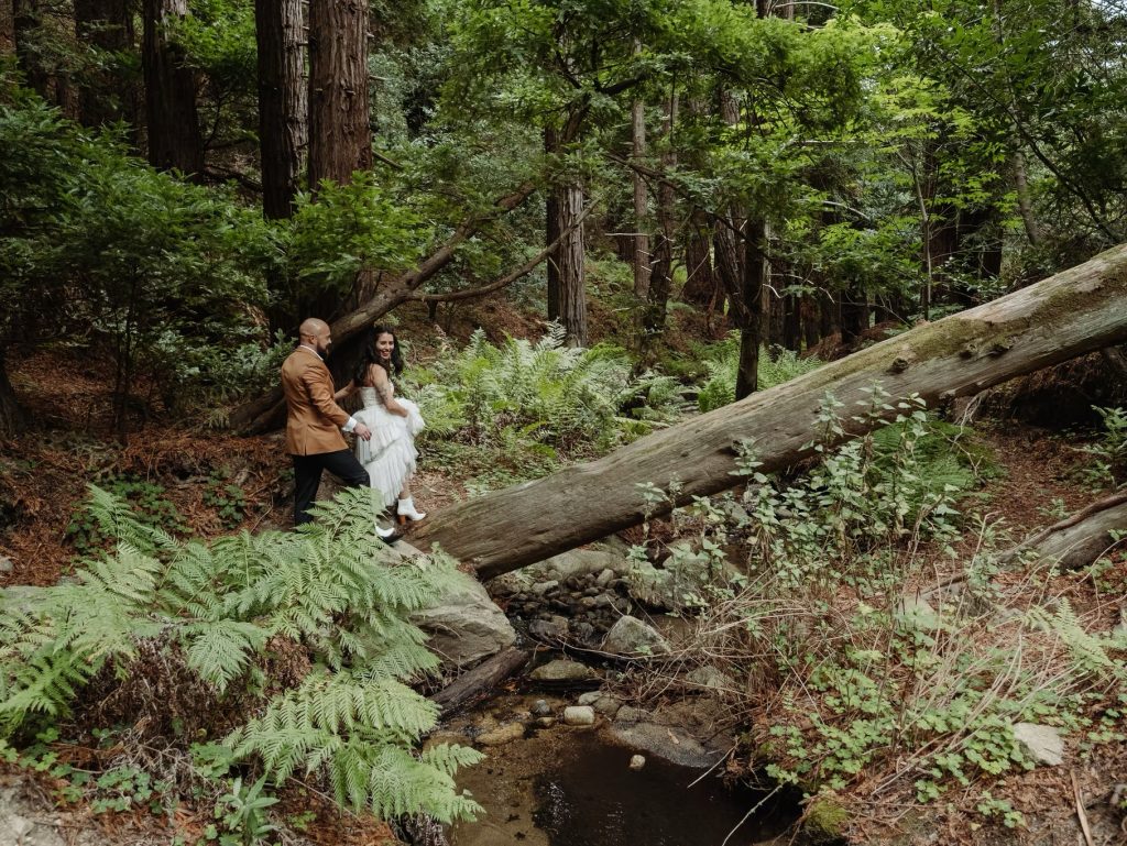 Eloping in Big Sur